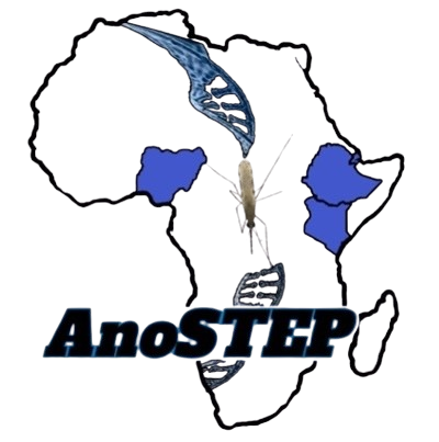 AnoSTEP Afrika